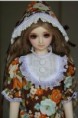 /album/retailsales-bjd/a15-jpg/