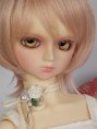 /album/retailsales-bjd/a17-jpg/