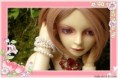 /album/retailsales-bjd/a69-jpg/