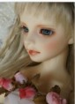 /album/retailsales-bjd/a94-jpg/