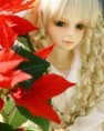 /album/retailsales-bjd/a110-jpg/